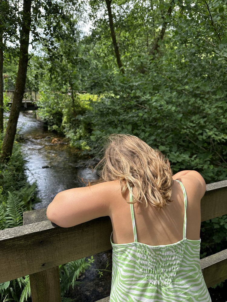 Late adhd diagnosis